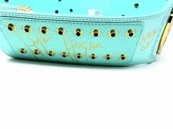 Hogan's Beach Shop WWE Replica Signed Blue Winged Eagle Championship Title Belt -Hogans Beach Shop 20191224 112413