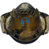 Hogan's Beach Shop WWE Winged Eagle Dual Plated Championship Replica Title Signed