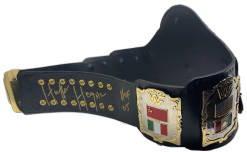 Hogan's Beach Shop WWF Andre Heavyweight 87 24K Gold Zinc Championship Belt (Signed) -Hogans Beach Shop 3eb4d779 617f 46c9 aa8b 190c85b8cff7