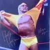 Hogan's Beach Shop Hulk Hogan Ripping Shirt Signed 16x20 -Hogans Beach Shop IMG 0599