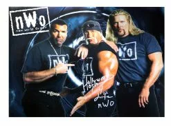 Hogan's Beach Shop Hulk Hogan Signed NWO Group Poster
