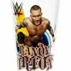 Hogan's Beach Shop Randy Orton WWE Pint Glass -Hogans Beach Shop Randy Orton Tumbler Glass