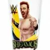 Hogan's Beach Shop Sheamus WWE Pint Glass -Hogans Beach Shop Sheamus Tumbler Glass