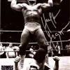 Hogan's Beach Shop Hulk Hogan Signed Nick Bockwinkel Defeat 8x10 Photo -Hogans Beach Shop Vintage Black White BockWinkle Defeat Autographed Photo