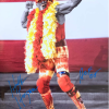 Hogan's Beach Shop Hulk Hogan Bow & Arrow Signed Poster 16X20 -Hogans Beach Shop d8345653 d8af 4305 a788 433739c7b6ea