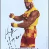 Hogan's Beach Shop Original WCW Hulk Hogan 8x10 -Hogans Beach Shop image 1