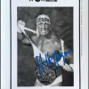 Hogan's Beach Shop Hogan Posing WWE 8x10 -Hogans Beach Shop image 2