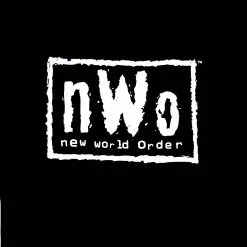 Hogans Beach Shop -Hogans Beach Shop nWo Shirt 1 1